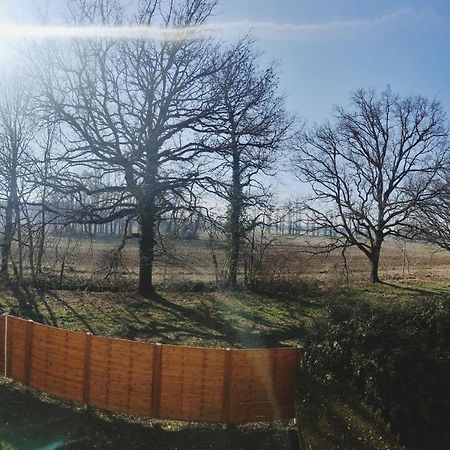 Apartament Beau Duplex Familial Avec Jardin Cloture Douvaine Zewnętrze zdjęcie