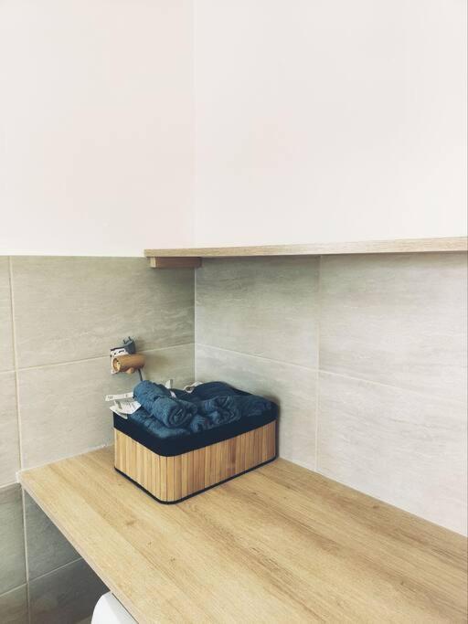 Apartament Beau Duplex Familial Avec Jardin Cloture Douvaine Zewnętrze zdjęcie